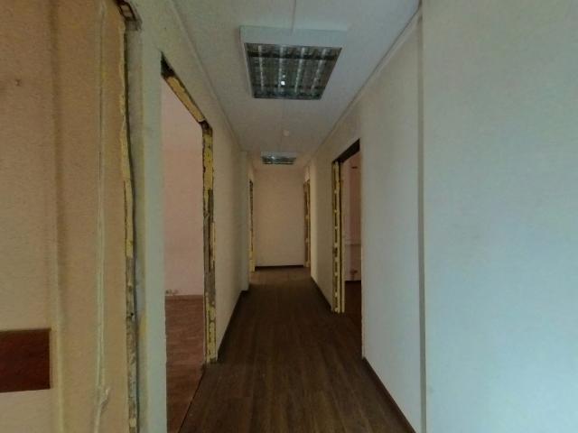 Лот 4023981